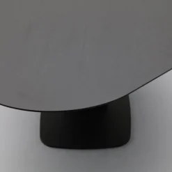 Trendhopper Eettafel Luna Organisch^ Eetkamertafels