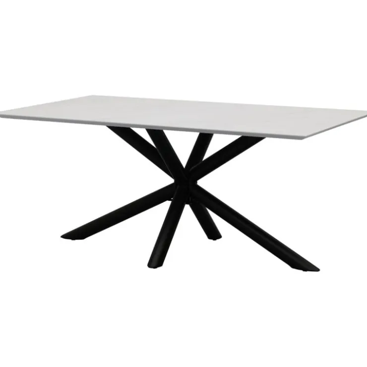 Trendhopper Eettafel Luna Rechthoek^ Eetkamertafels