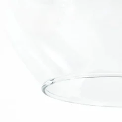 Trendhopper Hanglamp Rolf helder^ Hanglampen