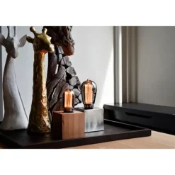 Trendhopper Lichtbron Buislamp Titanium E27^ Lichtbronnen