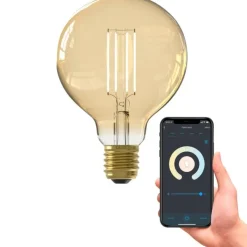 Trendhopper Lichtbron Globelamp 9,5cm Smart Goud^ Lichtbronnen