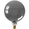 Trendhopper Lichtbron Kalmar Titanium E27^ Lichtbronnen