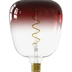 Trendhopper Lichtbron Kiruna Marron E27^ Lichtbronnen