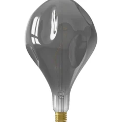 Trendhopper Lichtbron Organic Evo Titanium E27^ Lichtbronnen
