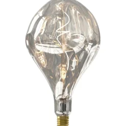 Trendhopper Lichtbron Organic Evo Zilver E27^ Lichtbronnen