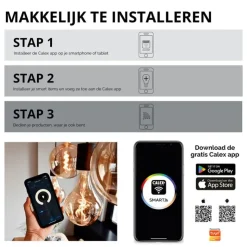 Trendhopper Lichtbron Rustieklamp Smart Goud E27^ Lichtbronnen